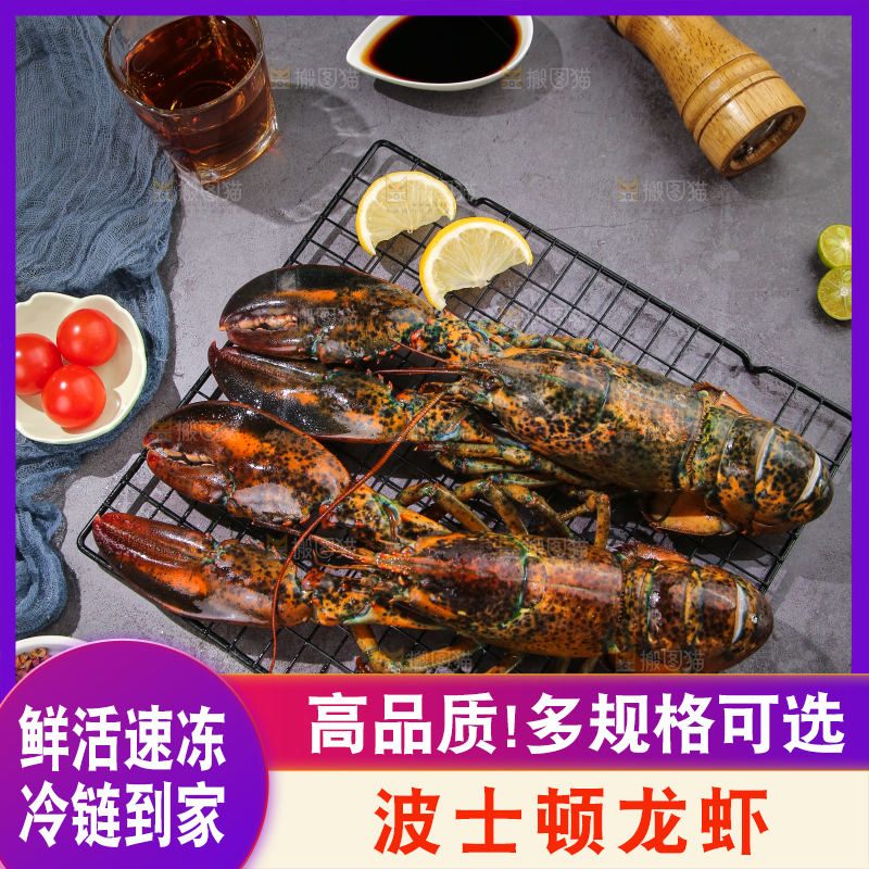 深底上放着澳洲大龙虾