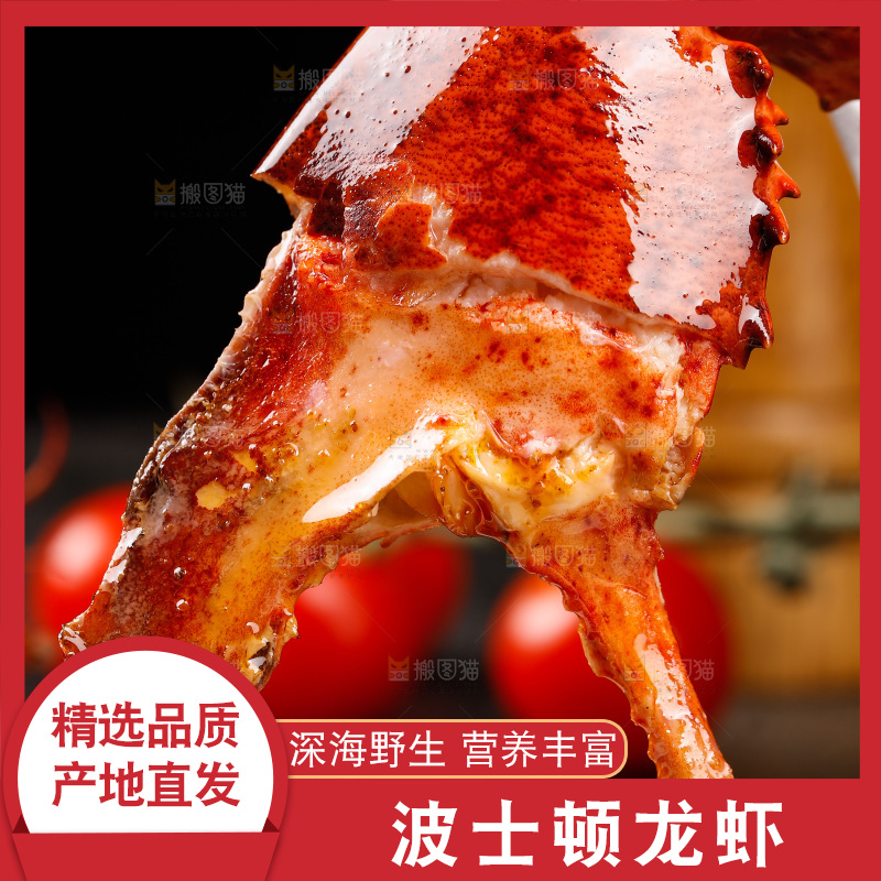 手上拿着波士顿龙虾