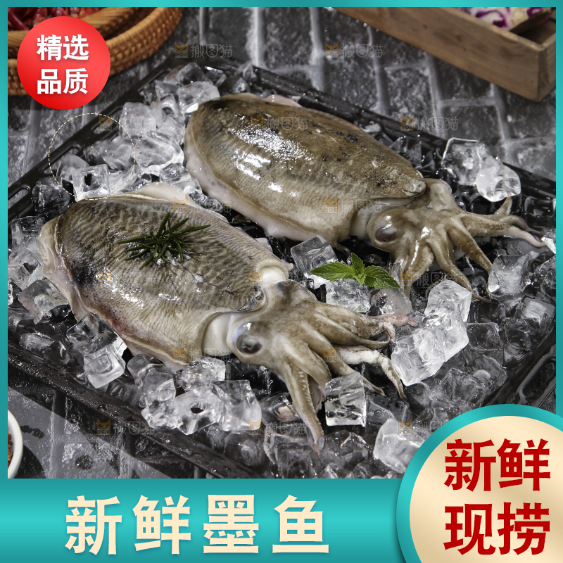 黑底上放着墨鱼
