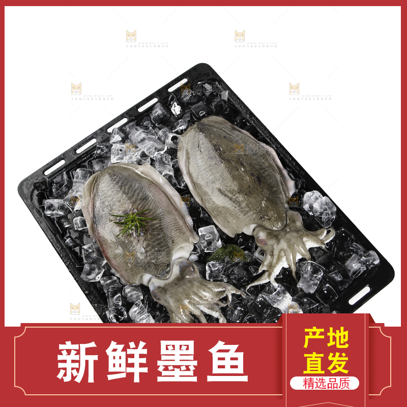 黑底上放着墨鱼