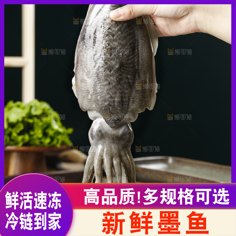 手上拿着的大墨鱼