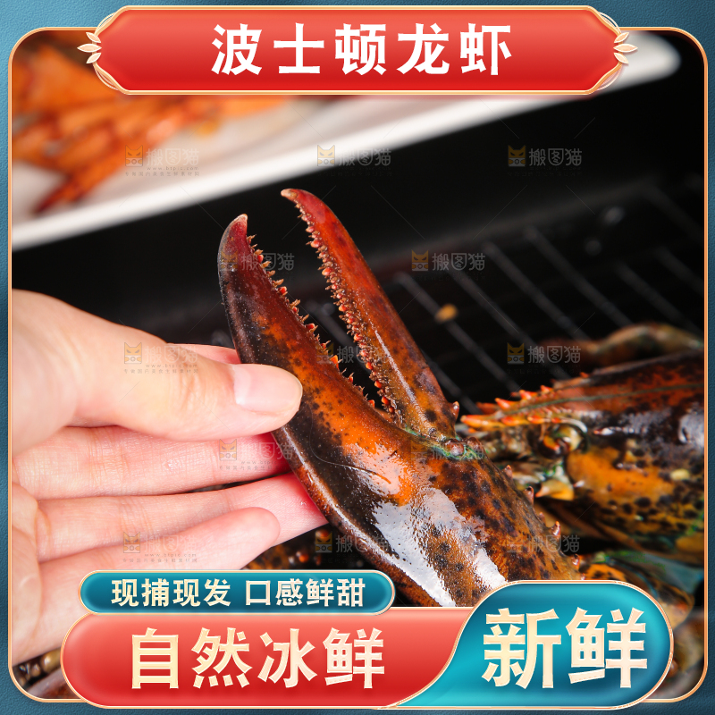 手上拿着波士顿大龙虾