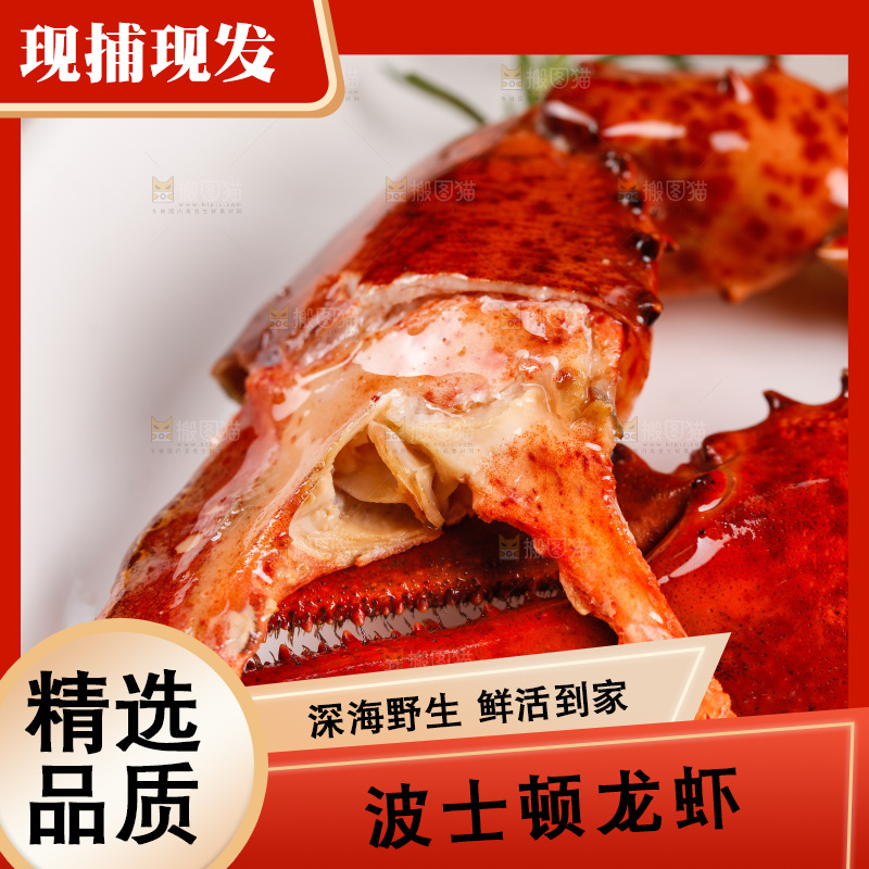 白底上放着波士顿大龙虾