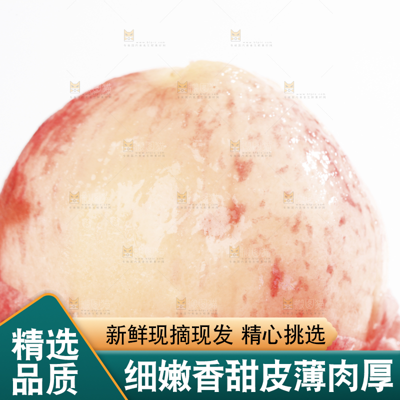 新鲜的春雪水蜜桃