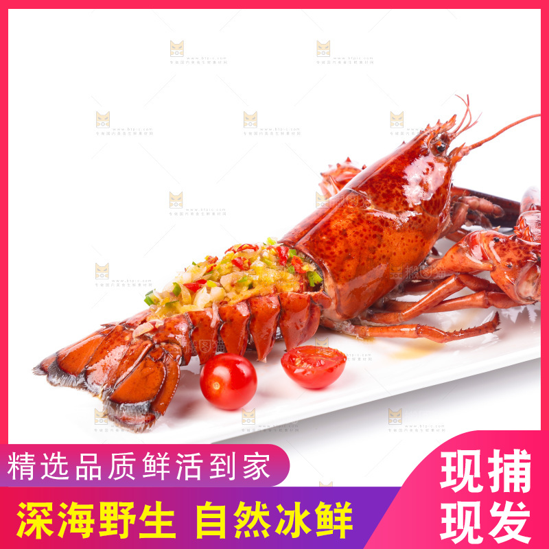 白底上放着波士顿大龙虾