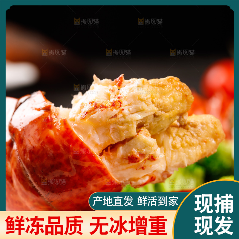 波士顿大龙虾肉