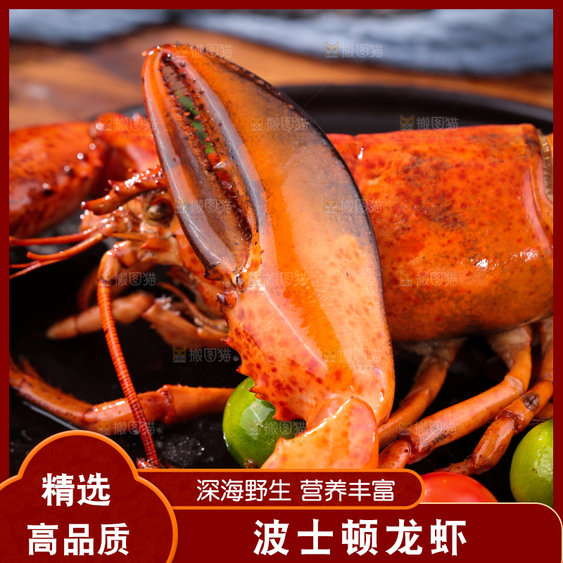 黑底上放着澳洲龙虾