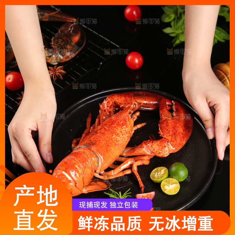 手上端着一盘波士顿龙虾
