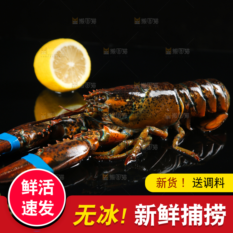 黑底上放着波士顿大龙虾