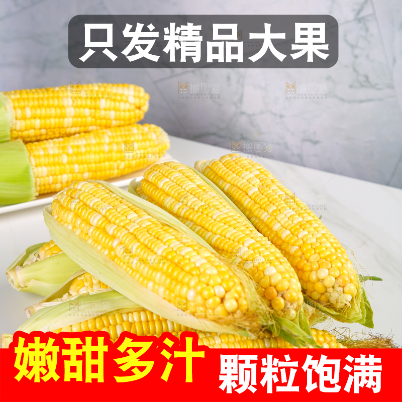 白底上放着一堆水果玉米