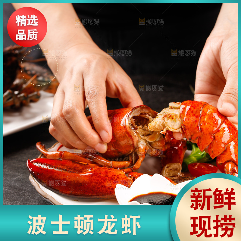 手上拿着澳洲龙虾