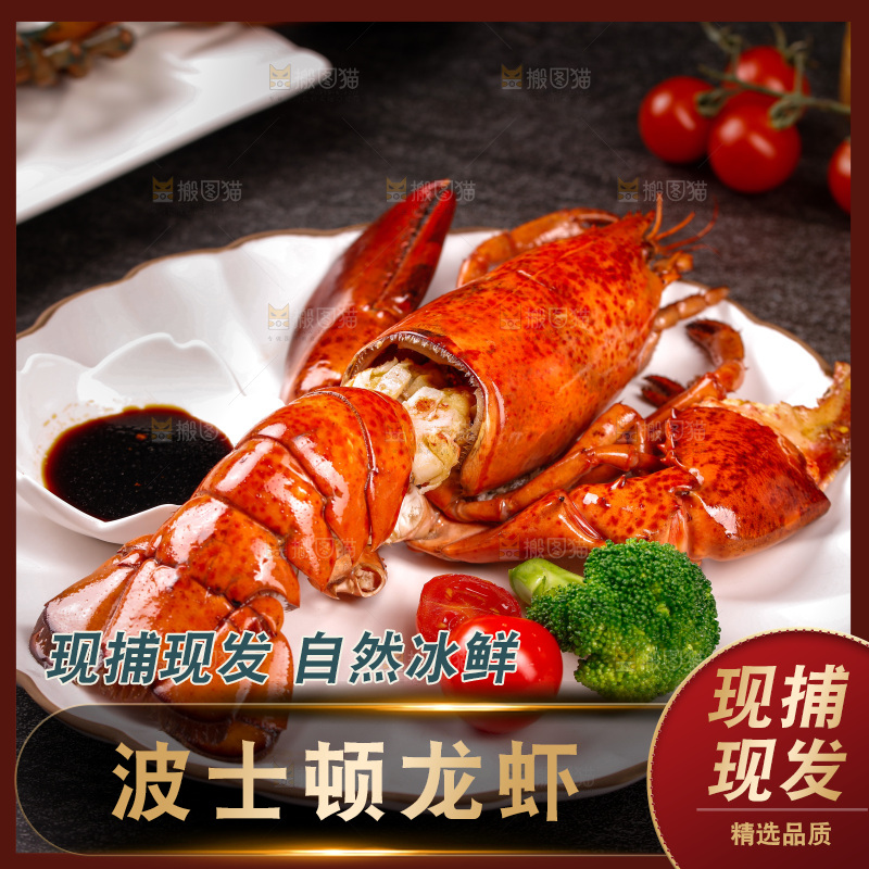黑底上放着一盘澳洲龙虾