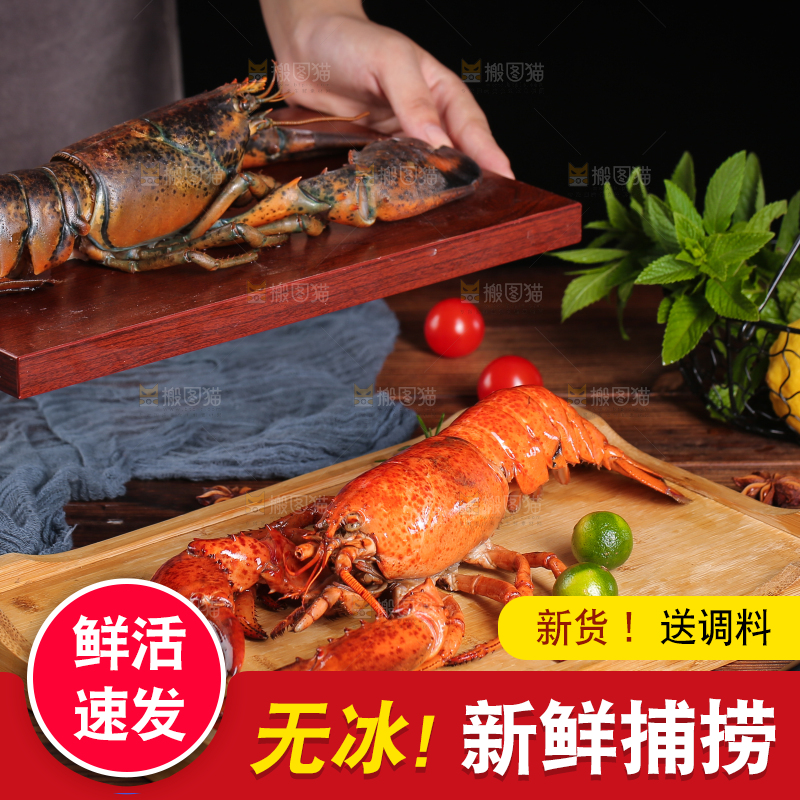 木板上放着波士顿龙虾