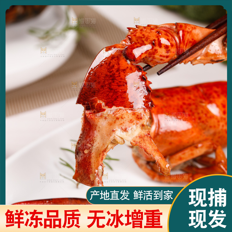 筷子上夹着波士顿大龙虾