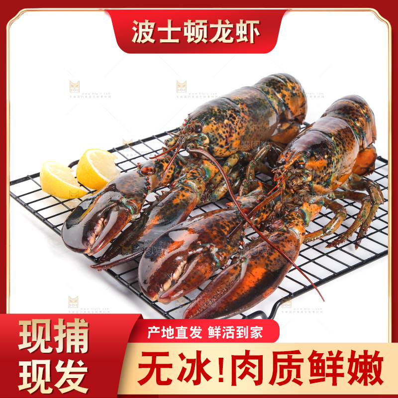 浅底上放着波士顿大龙虾