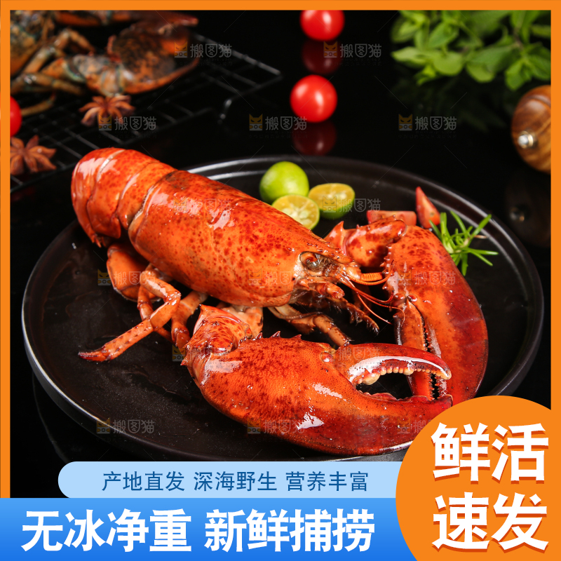 黑底上放着波士顿大龙虾