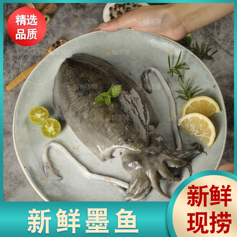 深底上放着一盘墨鱼