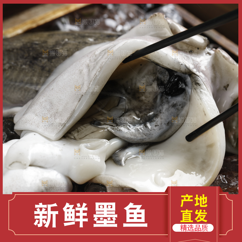 新鲜的野生大墨鱼