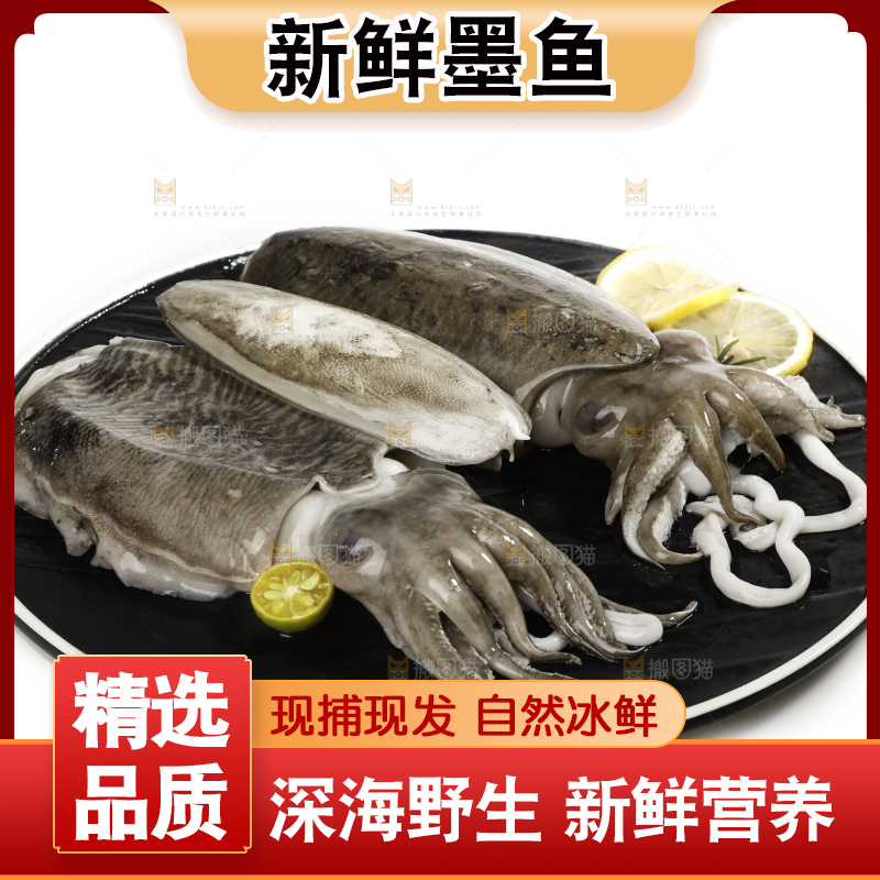 白底上放着一盘北海墨鱼