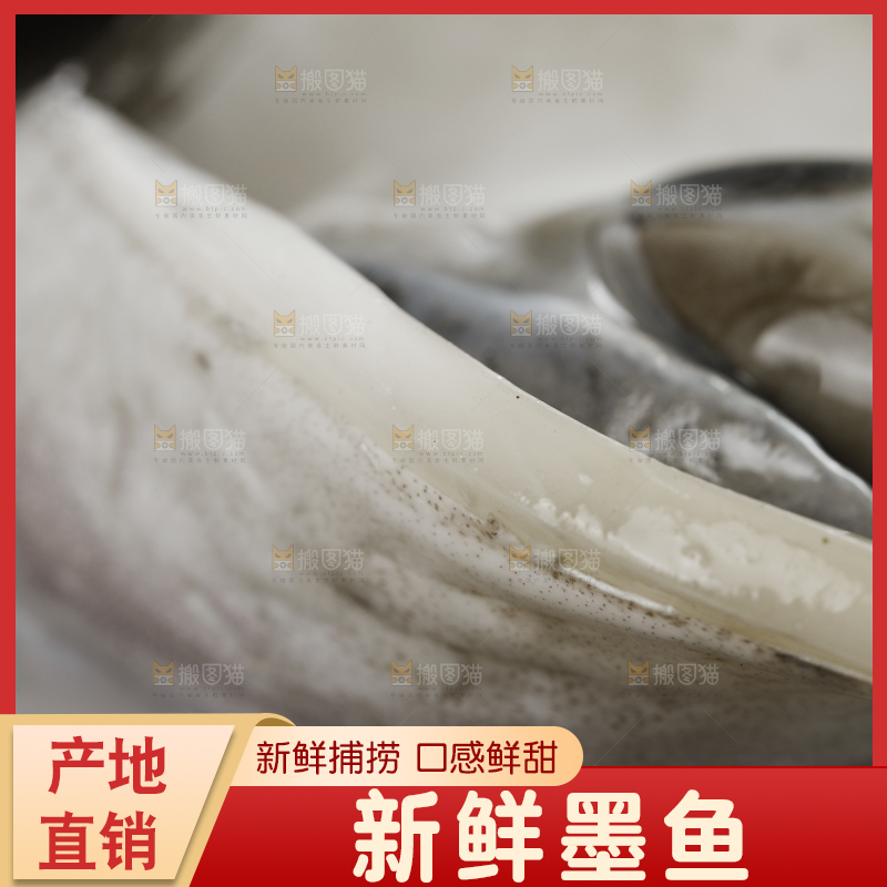 新鲜的野生大墨鱼