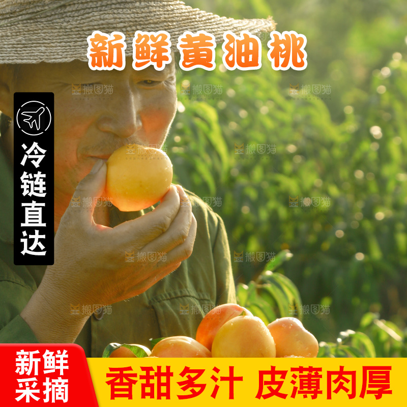 农民手上端着一筐黄油桃