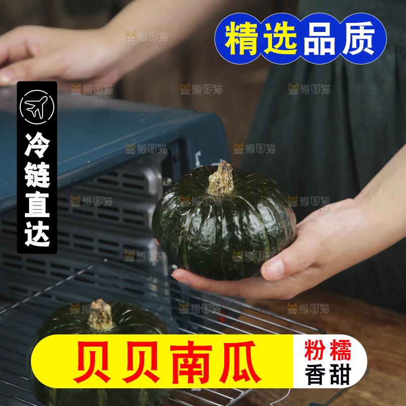 正放在微波炉里贝贝南瓜