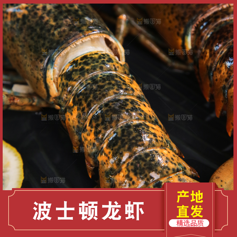 盘子里放着澳洲龙虾