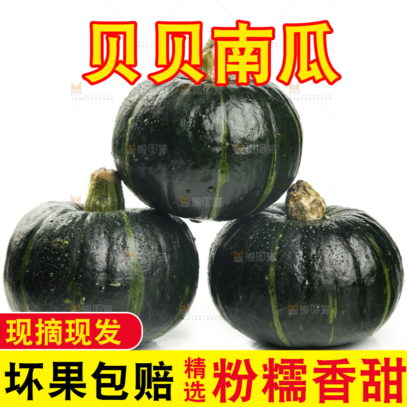 白底上放着贝贝南瓜