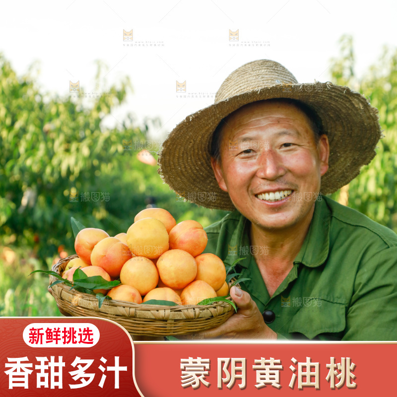 农民手上端着一筐黄油桃