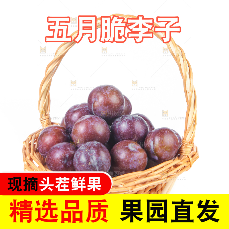 白底上放着一篮凤凰李