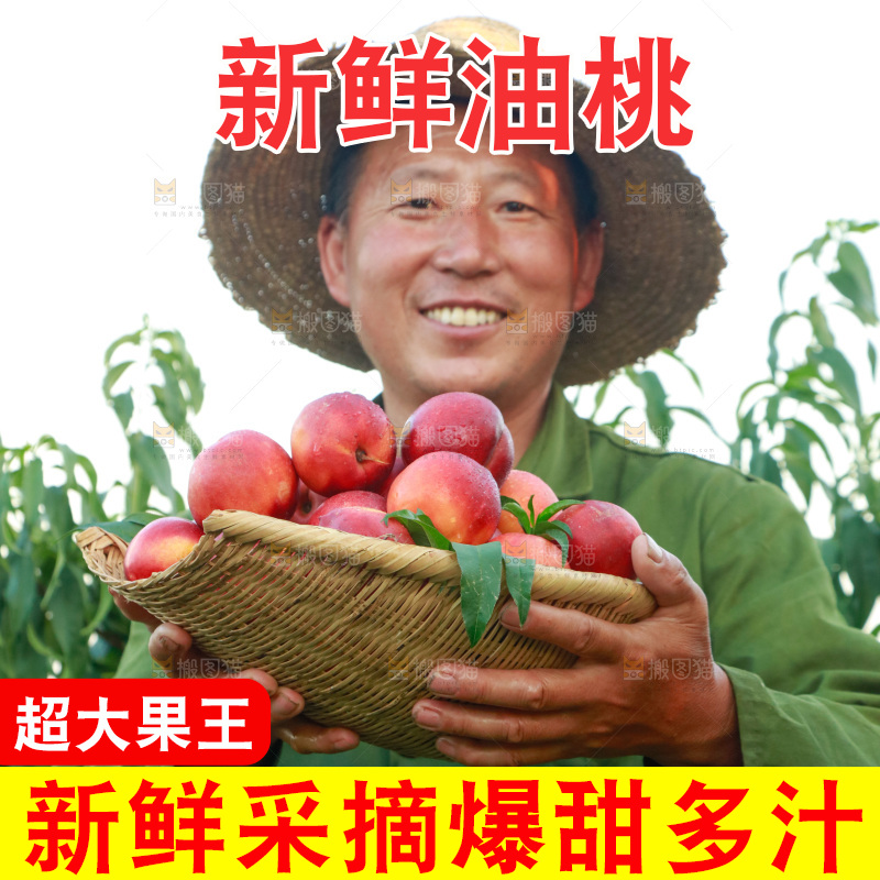 农民手上抱着一筐黄心油桃