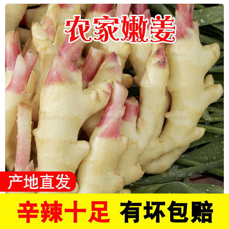 绿草上放着一堆红芽嫩姜