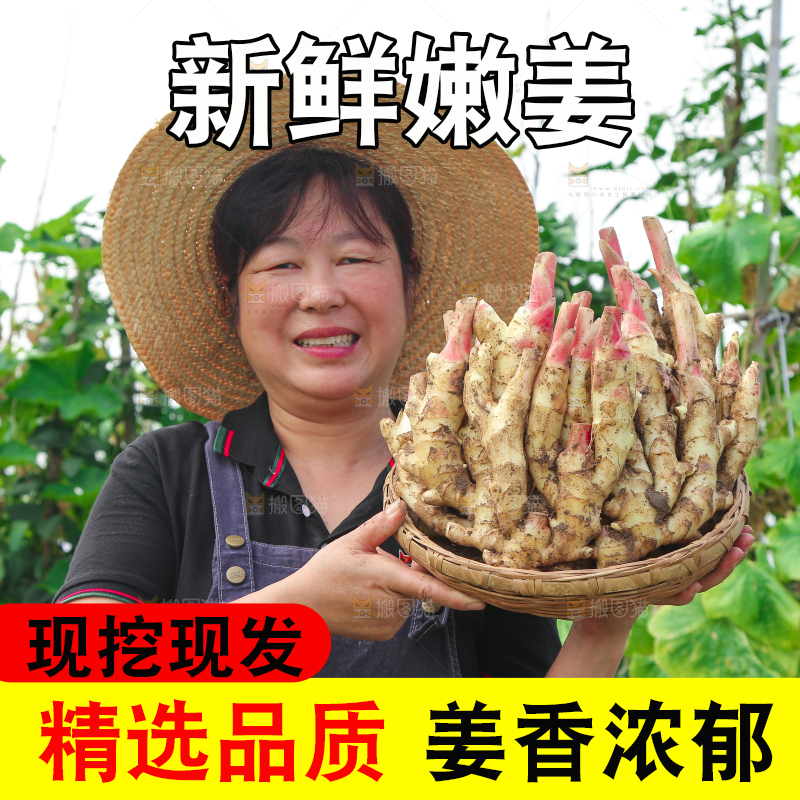 阿姨手上抱着一篮嫩姜