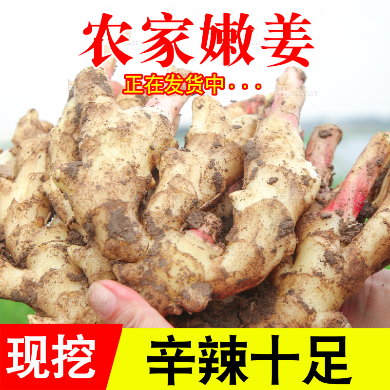 手上拿着的嫩姜