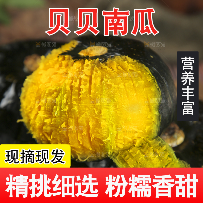 新鲜的贝贝南瓜