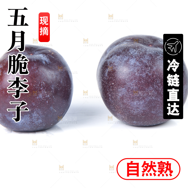 白底上放着五月脆李