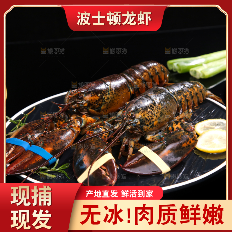 黑底上放着一盘澳洲龙虾