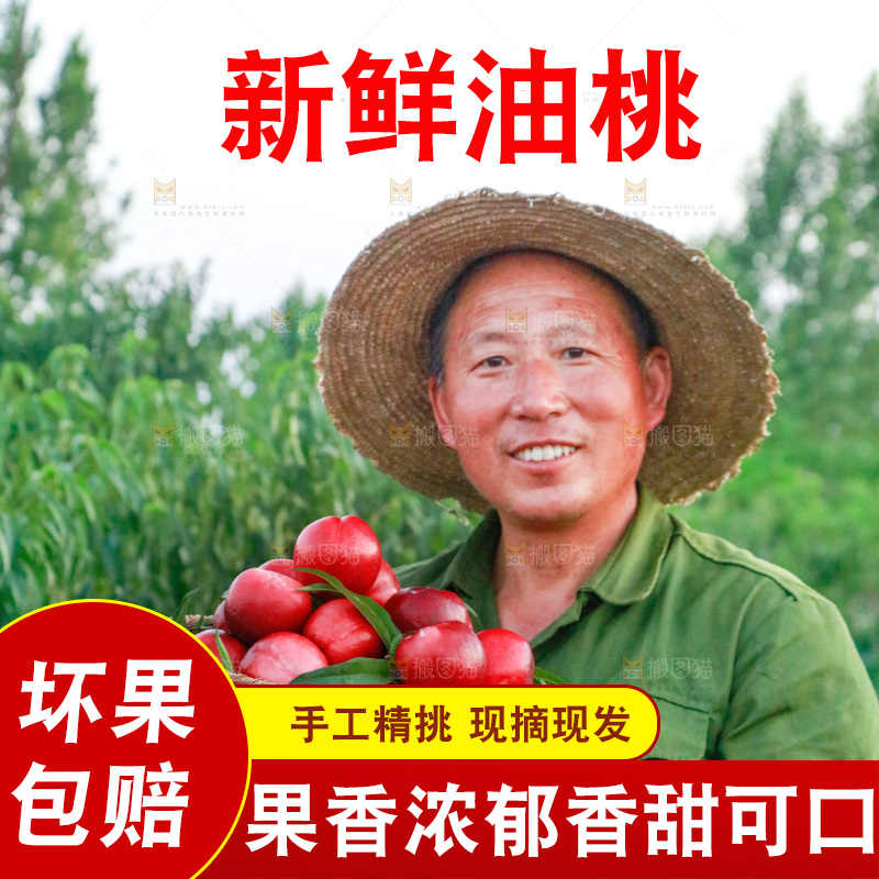 农民手上端着一筐红油桃