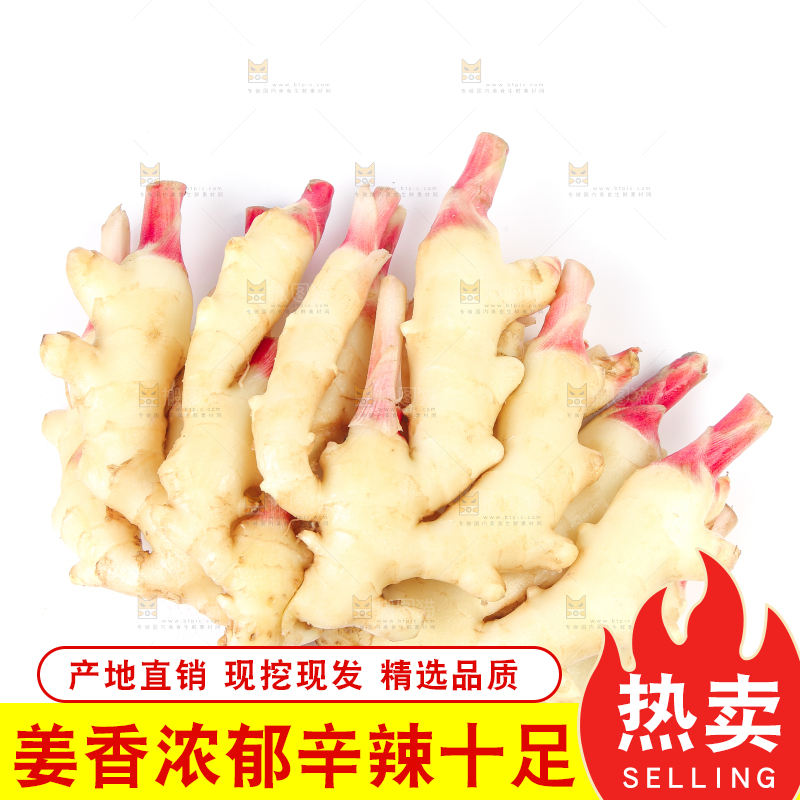 白底上放着嫩姜芽