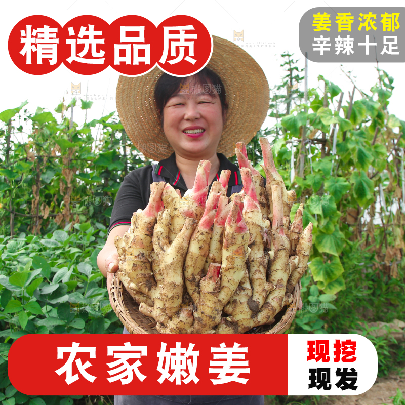 阿姨手上抱着一篮嫩姜