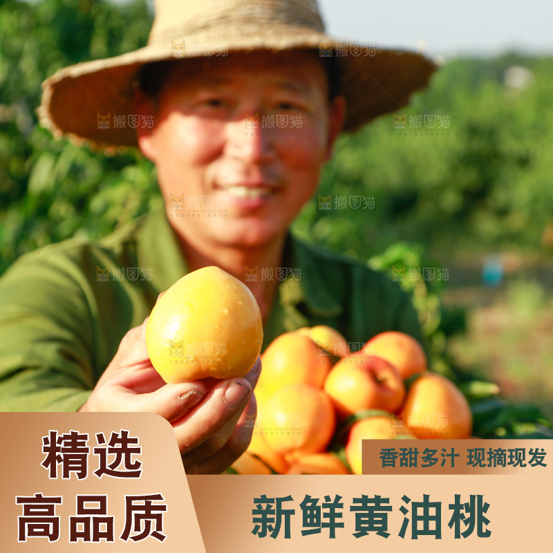 农民手上端着一筐黄油桃