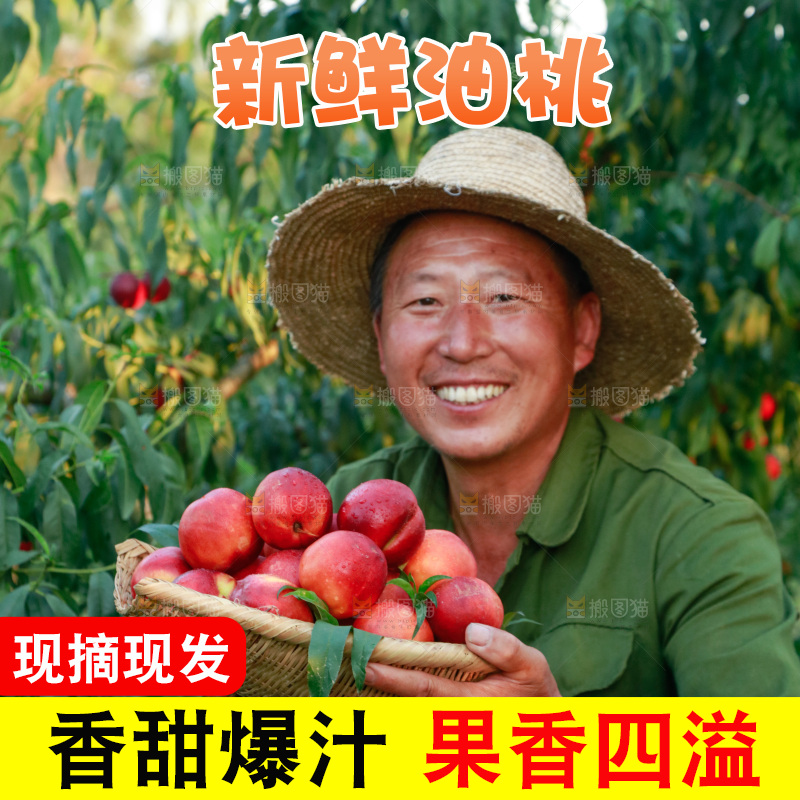 农民手上抱着一筐黄心油桃