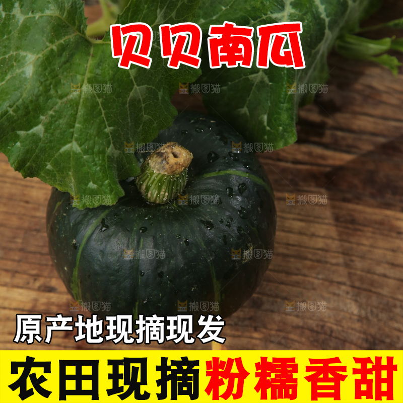 木底上放着贝贝南瓜