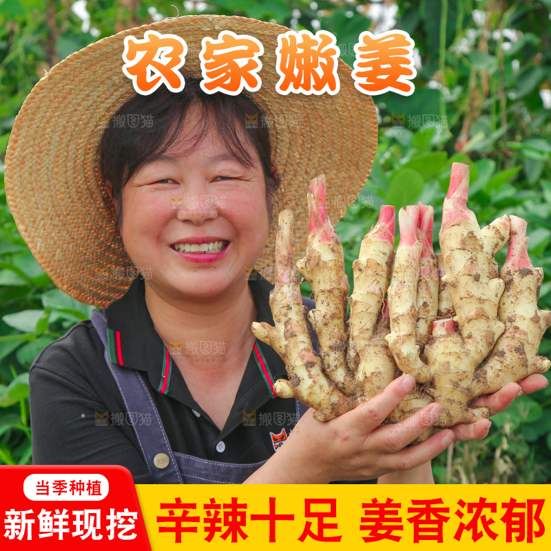 阿姨手上抱着嫩姜