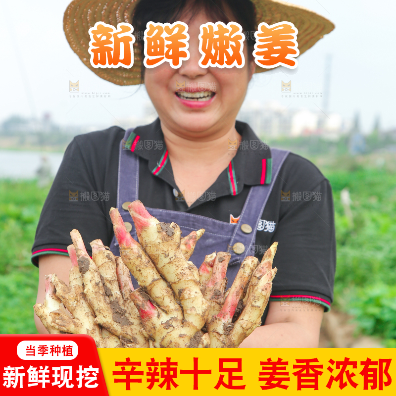 阿姨手上抱着嫩姜