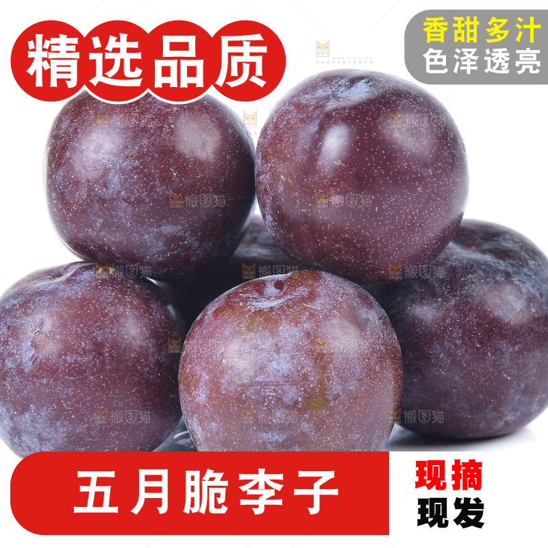 白底上放着五月脆李