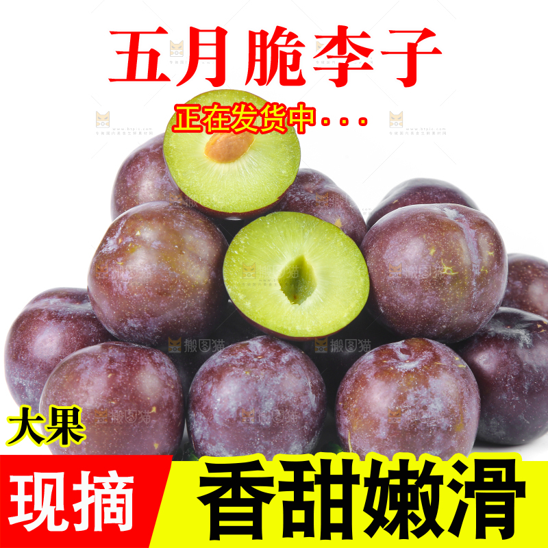 白底上放着一堆五月脆李