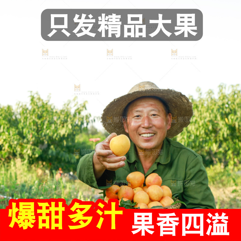 农民手上端着一筐黄油桃