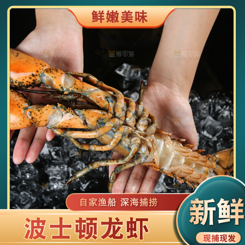 手上捧着波士顿龙虾