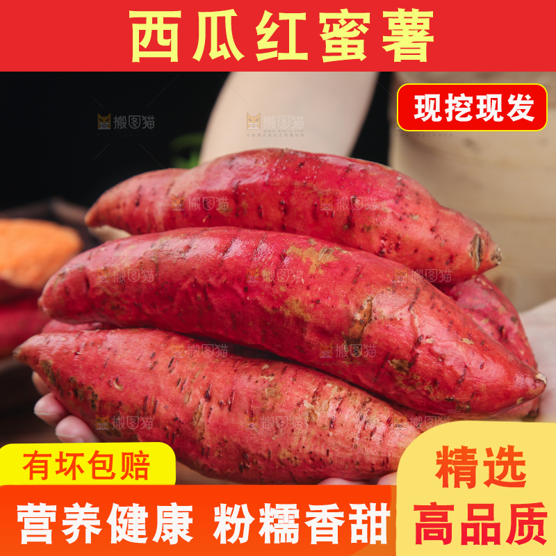 手上捧着一堆西瓜红蜜薯
